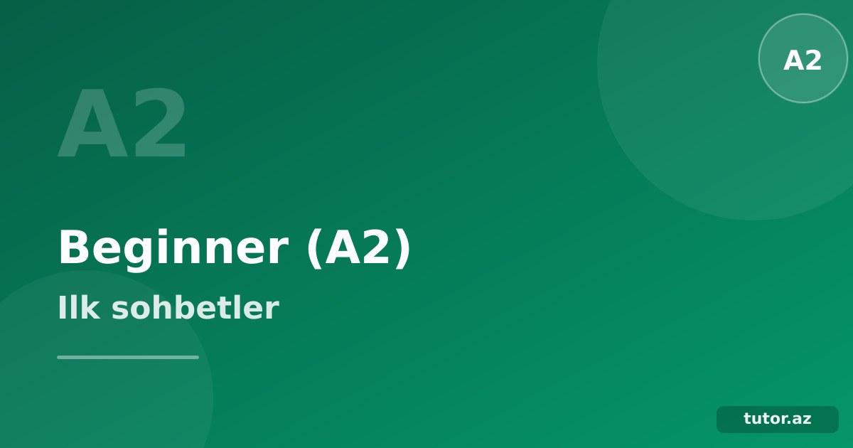 İngilis dili A2 Beginner: ilk söhbətlər başlayır