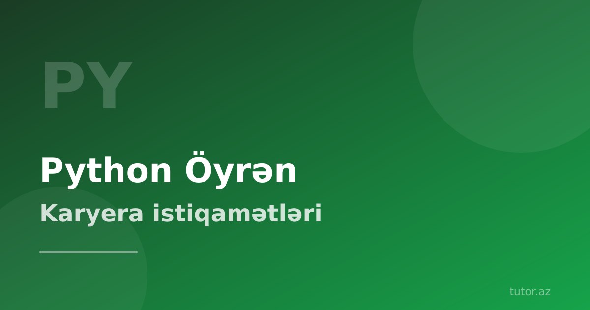 Python öyrənmək: sıfırdan karyeraya tam yol xəritəsi