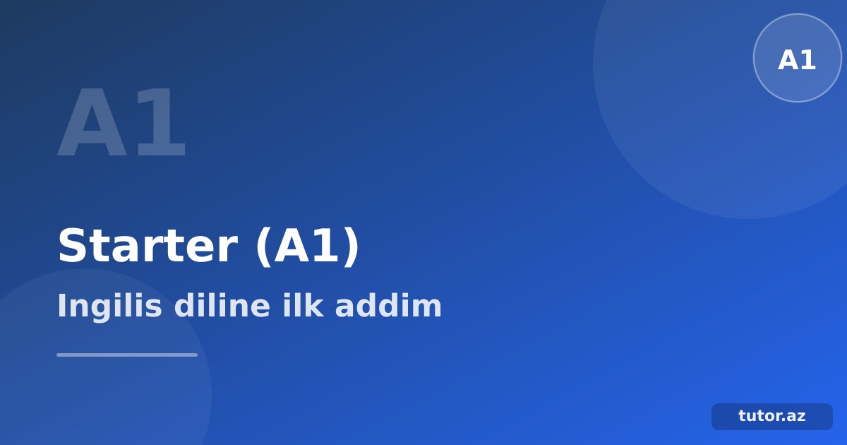 İngilis dili Starter (A1) səviyyəsi: sıfırdan ilk cümləyə