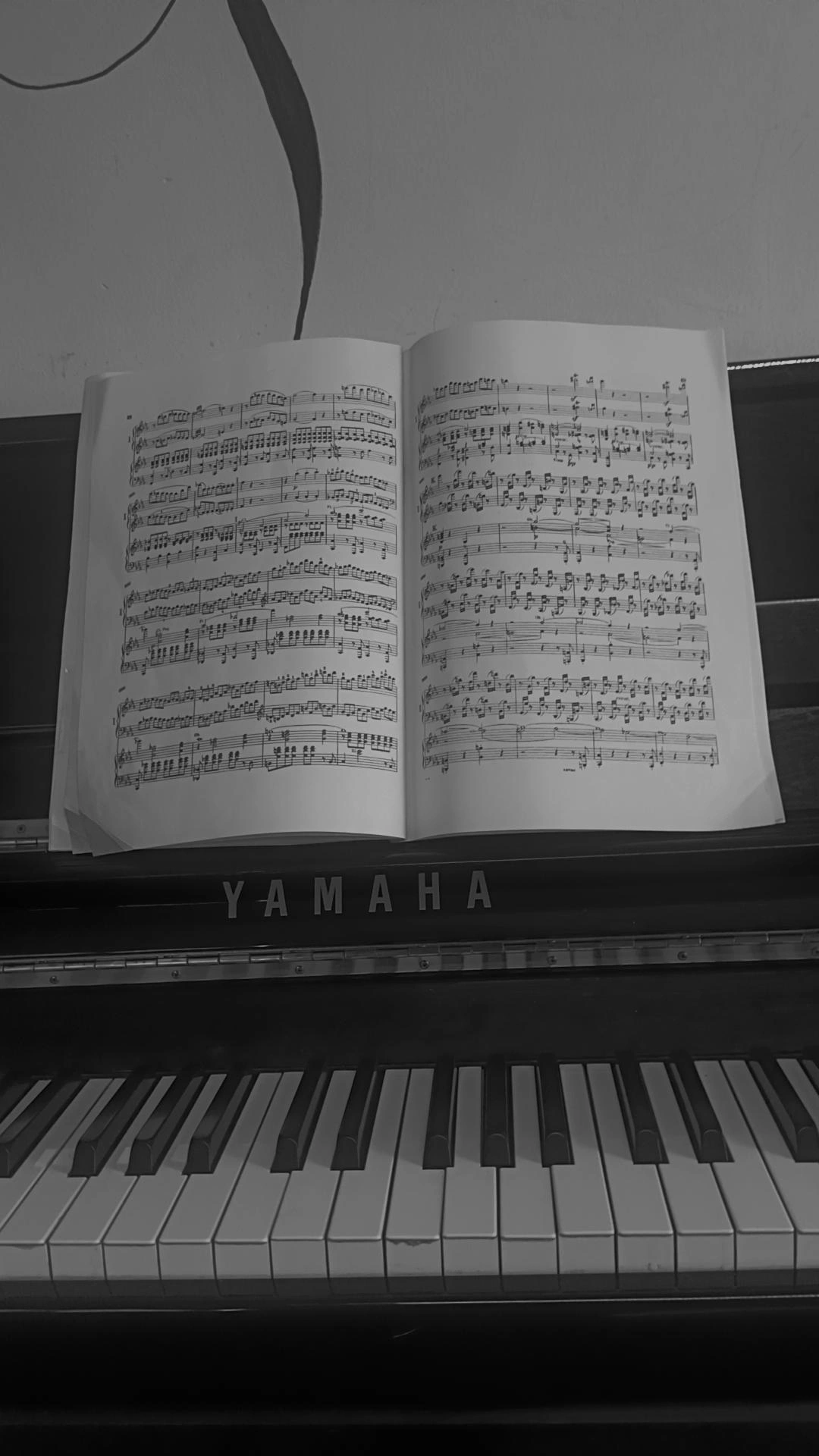 Gunel Quliyeva — Piano / Klaviatür, Musiqi nəzəriyyəsi müəllimi, Bakı
